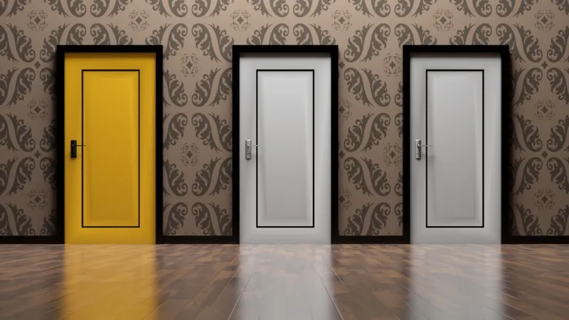 Le dilemme des 3 portes